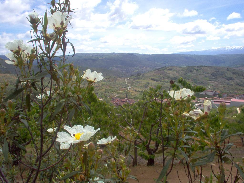 Hotel Rural Sierra De Francia Sotoserrano المظهر الخارجي الصورة